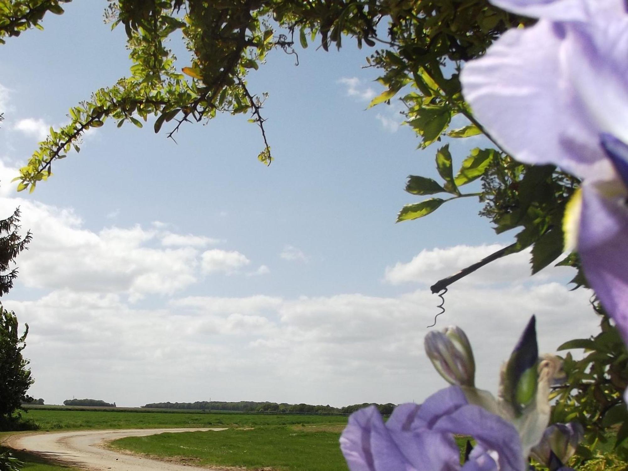 Charmante Maison De Campagne Avec Jardin Prive, Pres De Paris Et Orleans, Ideale Pour Familles - Fr-1-590-136 Audeville ภายนอก รูปภาพ