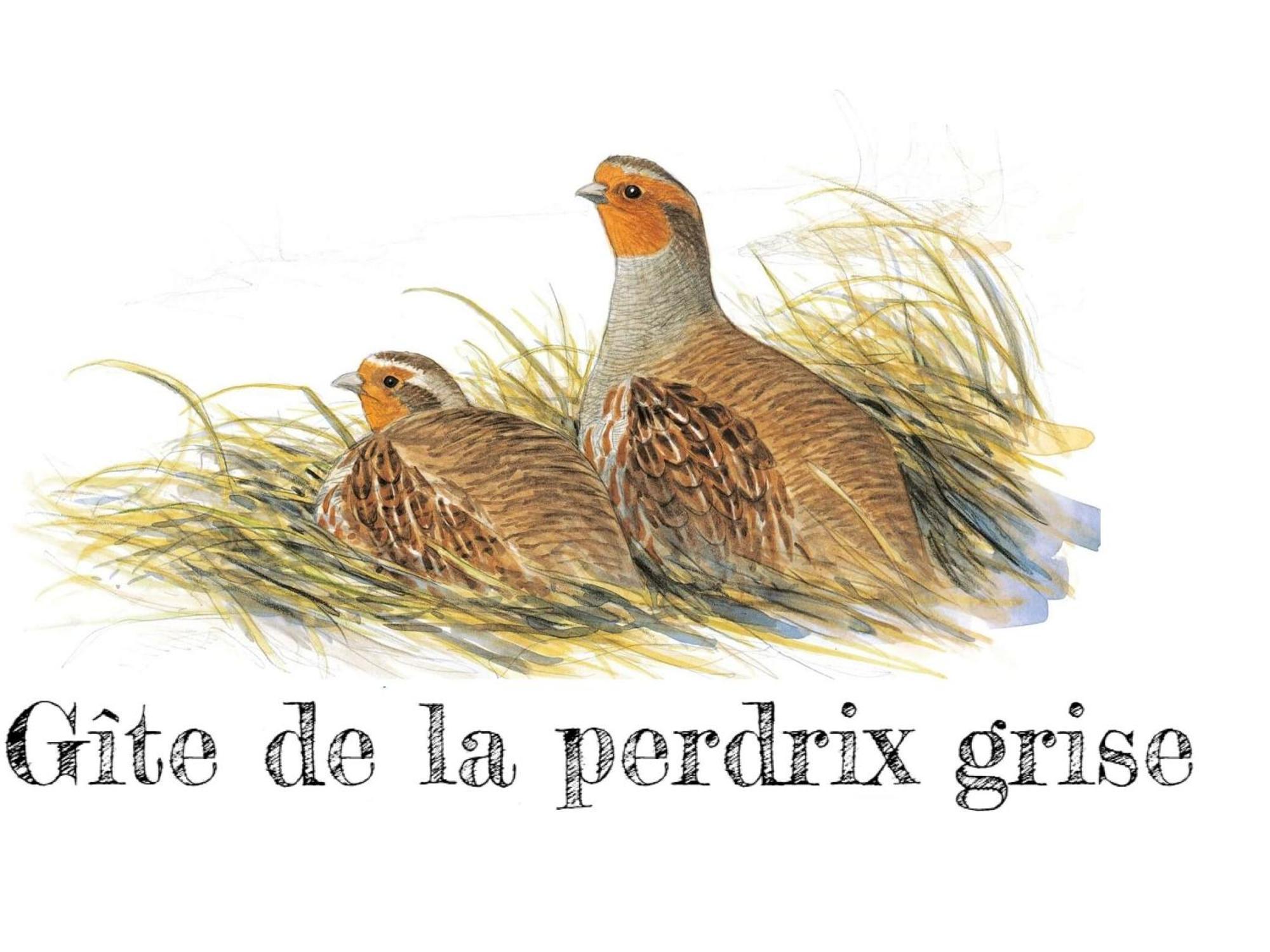 Charmante Maison De Campagne Avec Jardin Prive, Pres De Paris Et Orleans, Ideale Pour Familles - Fr-1-590-136 Audeville ภายนอก รูปภาพ